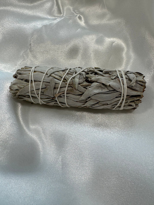 sauge blanche 10 cm