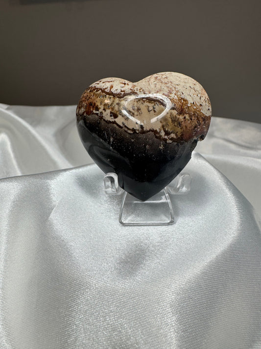 Cœur en Palmier Fossilisé – Stabilité et Ancrage ancestral